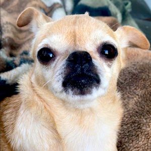 Meet your Posher, Doris